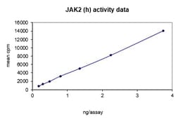 Eurofins DiscoverX JAK2 Protein, Active 10 &mu;g | Buy Online | Eurofins DiscoverX | Fisher Scientific
